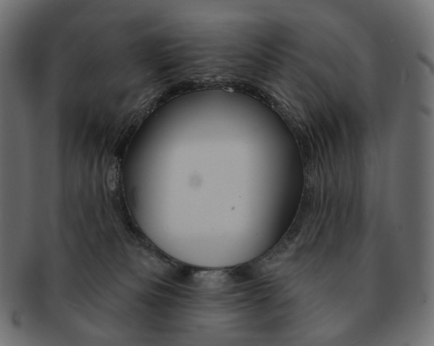 X0000091530133200709071050