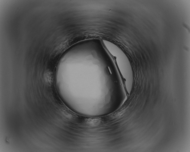 X0000091530135200709071050