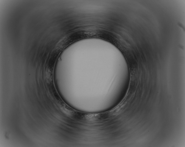 X0000091530136200709071050