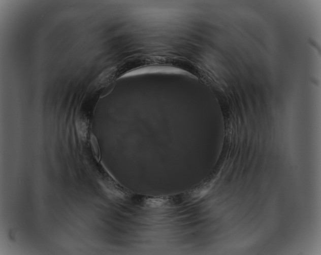 X0000091530139200709071049