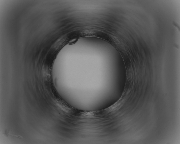 X0000091530140200709071049