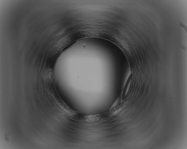 X0000091530141200709071049