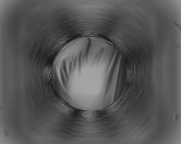 X0000091530142200709071049