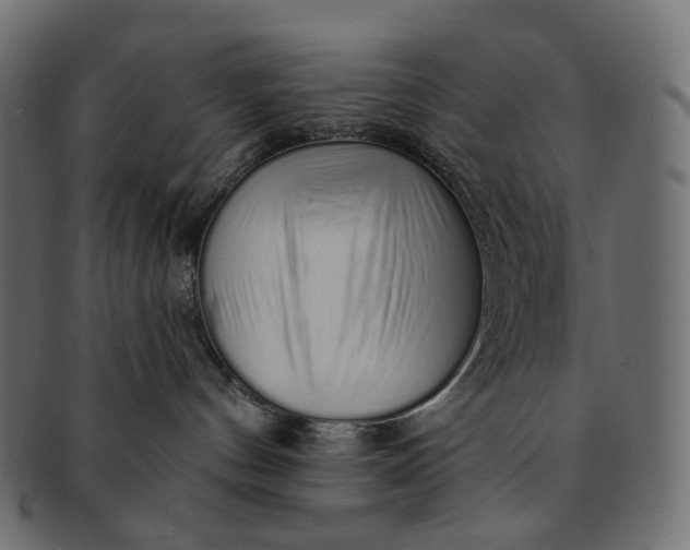 X0000091530144200709071049
