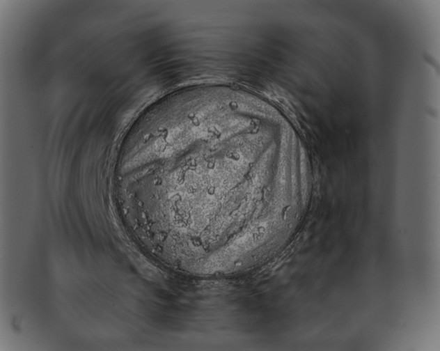 X0000091530145200709071049