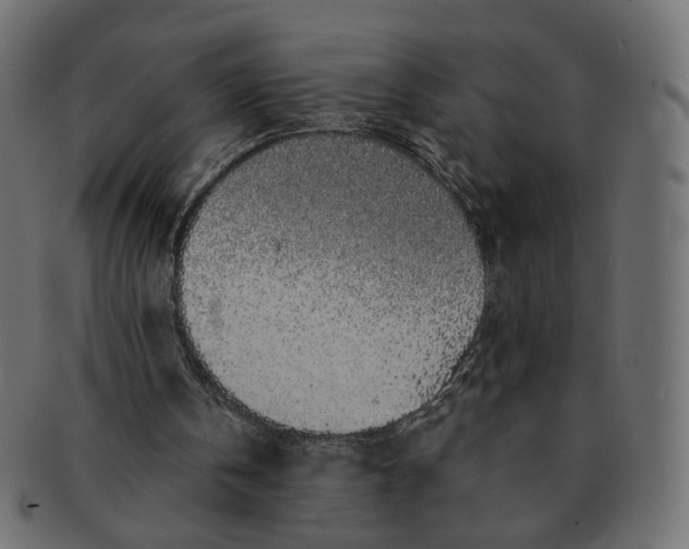 X0000091530146200709071049
