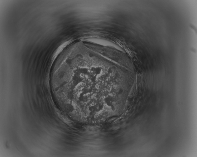 X0000091530147200709071049