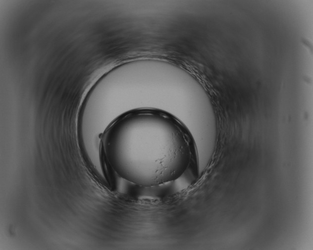 X0000091530148200709071049