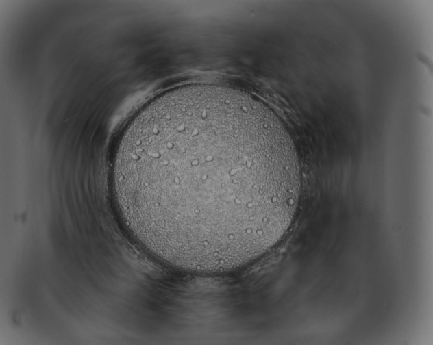 X0000091530149200709071049