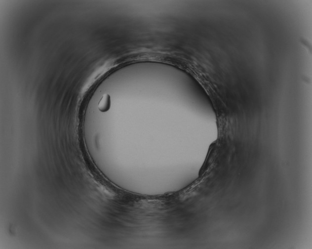 X0000091530150200709071049