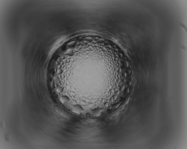 X0000091530151200709071049