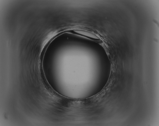 X0000091530152200709071049