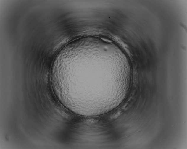 X0000091530153200709071049