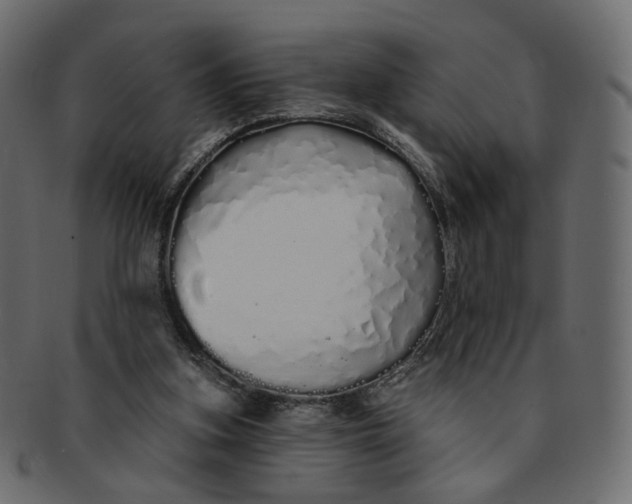 X0000091530155200709071049