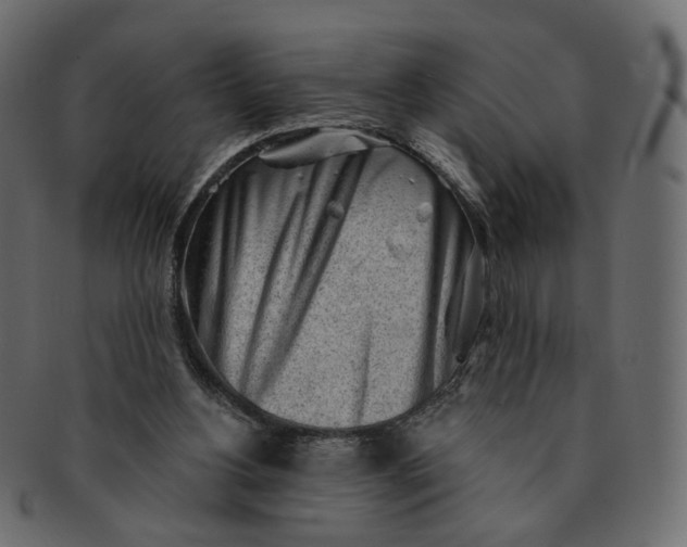 X0000091530156200709071049