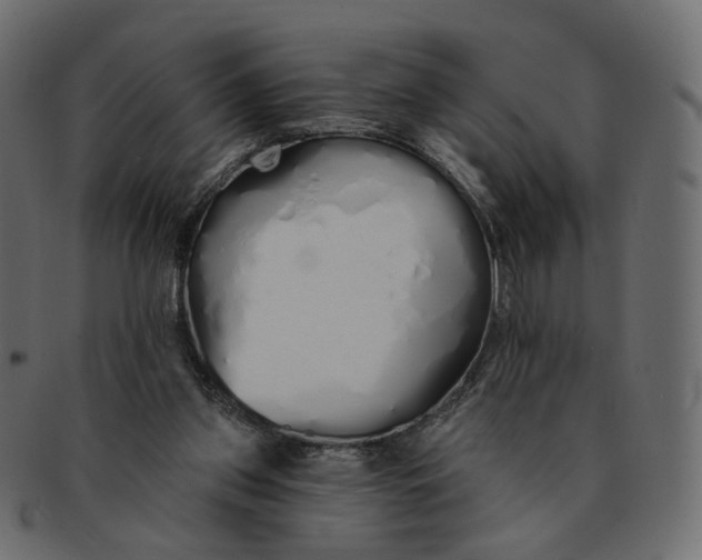 X0000091530157200709071049