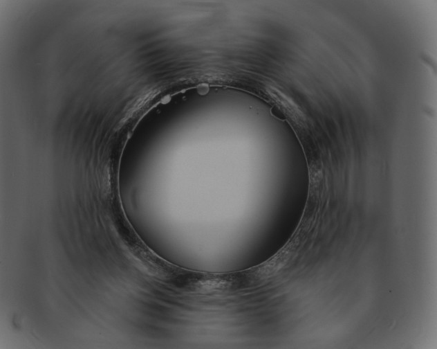 X0000091530158200709071049