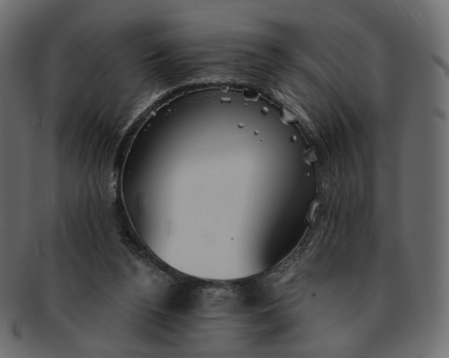 X0000091530160200709071049
