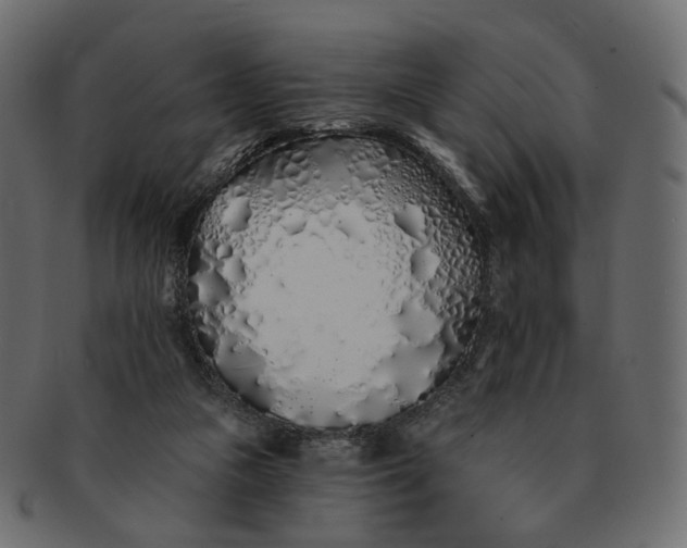 X0000091530161200709071049