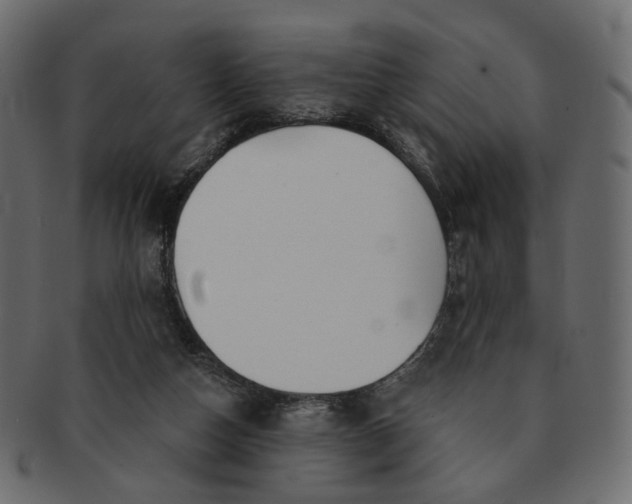 X0000091530162200709071049
