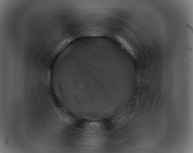 X0000091530163200709071049
