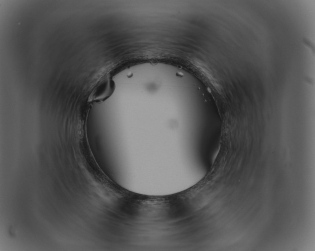 X0000091530164200709071049