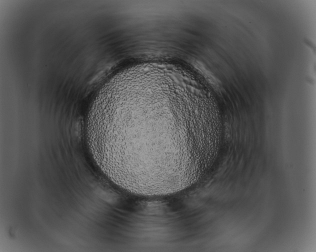 X0000091530165200709071049