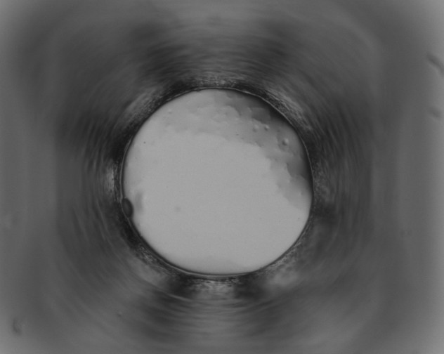 X0000091530166200709071049