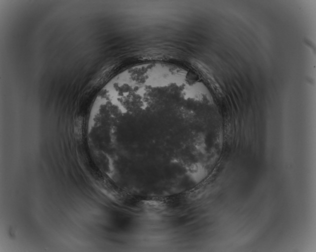 X0000091530167200709071049