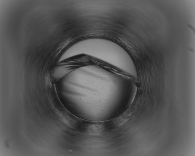 X0000091530168200709071049