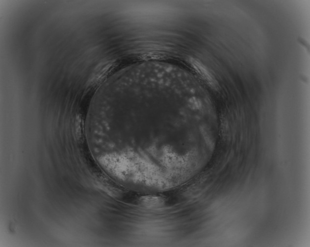 X0000091530169200709071049