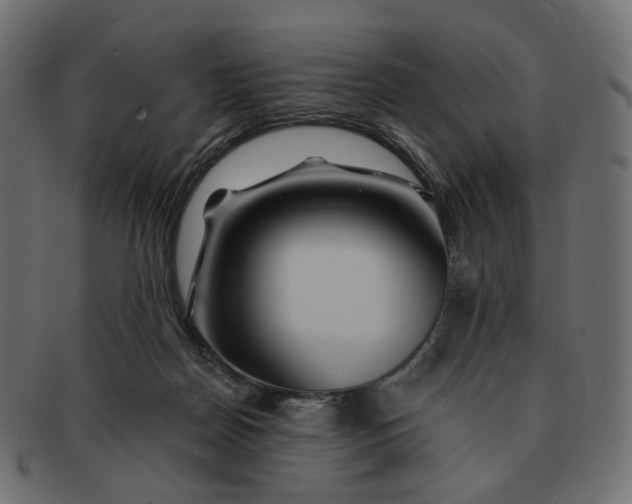 X0000091530170200709071049