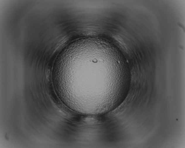 X0000091530171200709071049