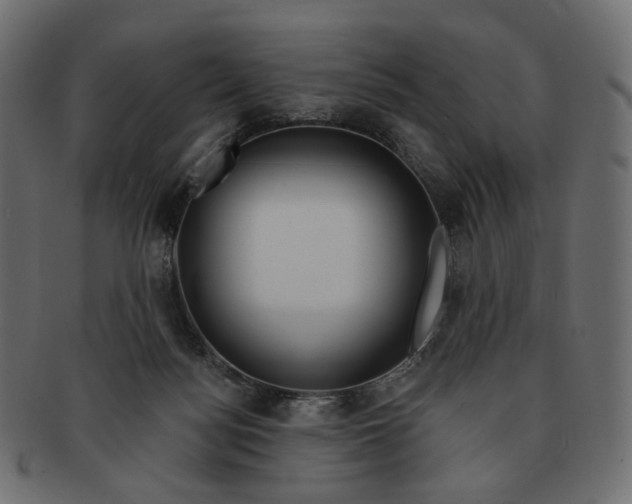 X0000091530172200709071049
