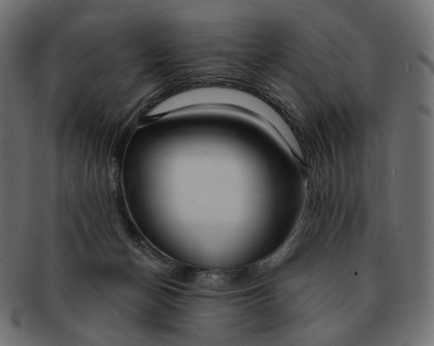 X0000091530174200709071049