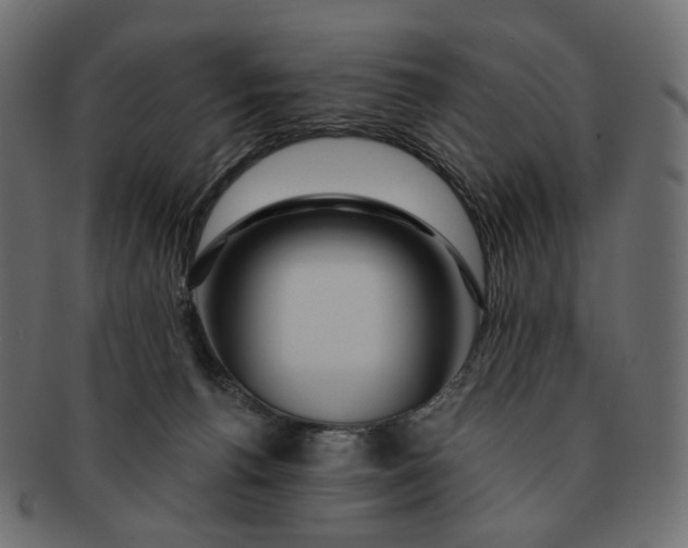 X0000091530176200709071049