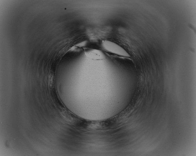 X0000091530177200709071049