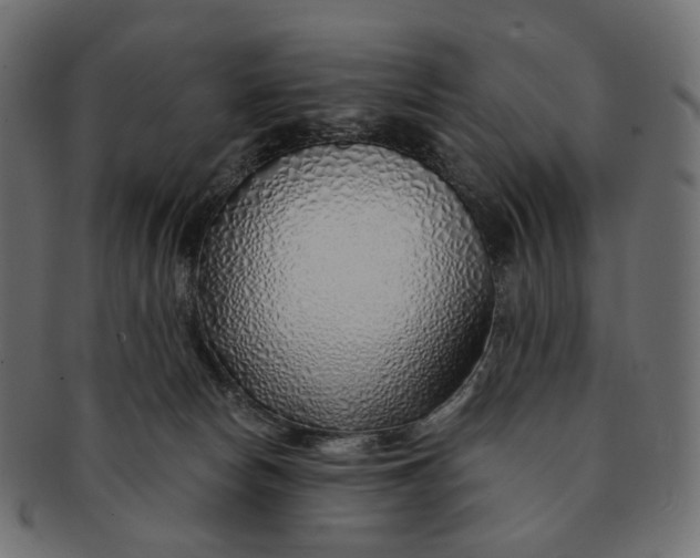 X0000091530178200709071049