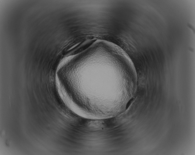 X0000091530179200709071049