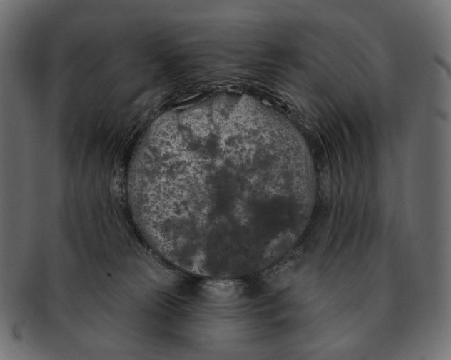 X0000091530181200709071049