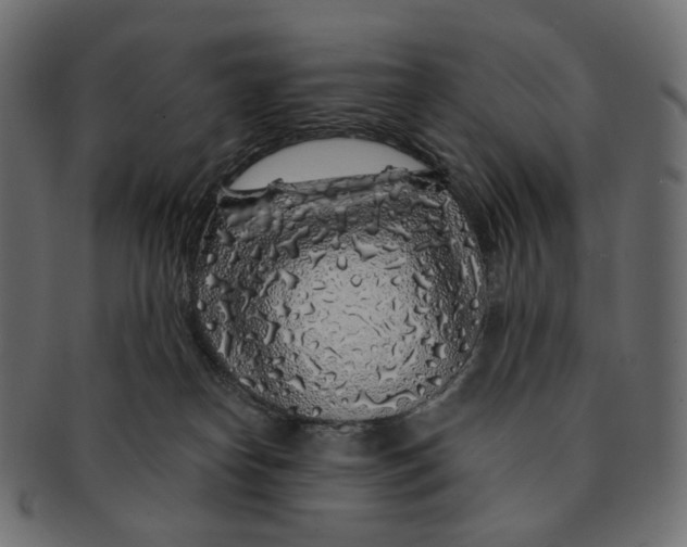 X0000091530182200709071049