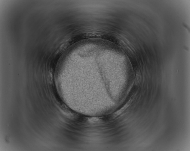 X0000091530183200709071049