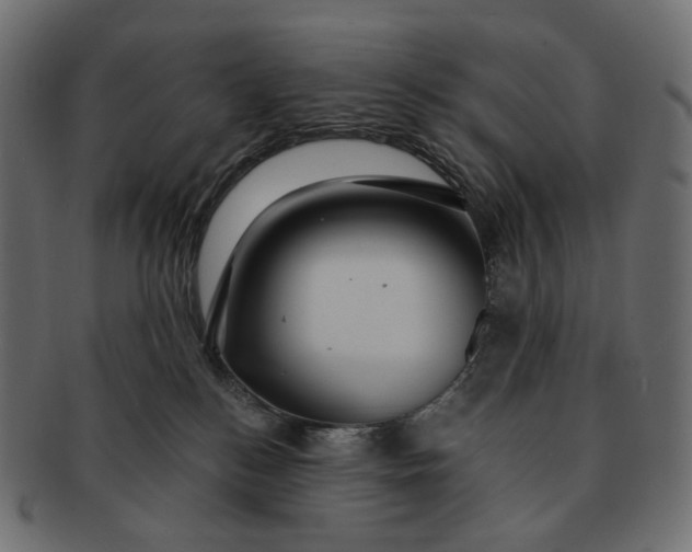 X0000091530184200709071049