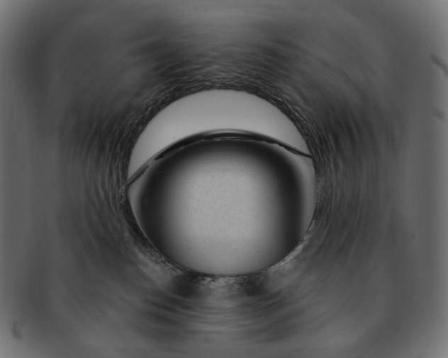 X0000091530186200709071049