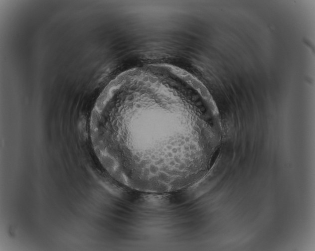 X0000091530187200709071049