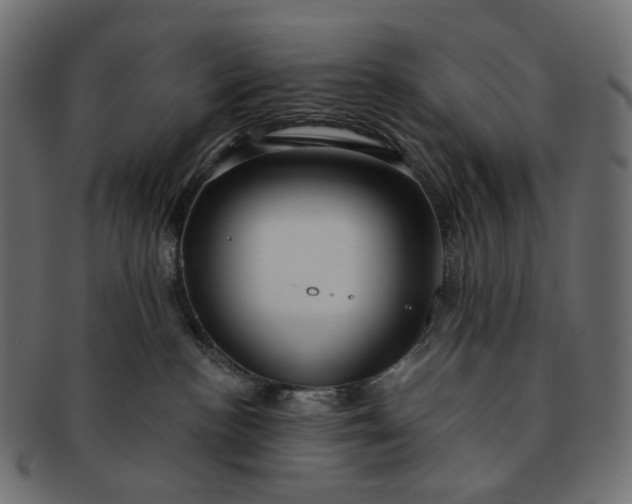 X0000091530188200709071049