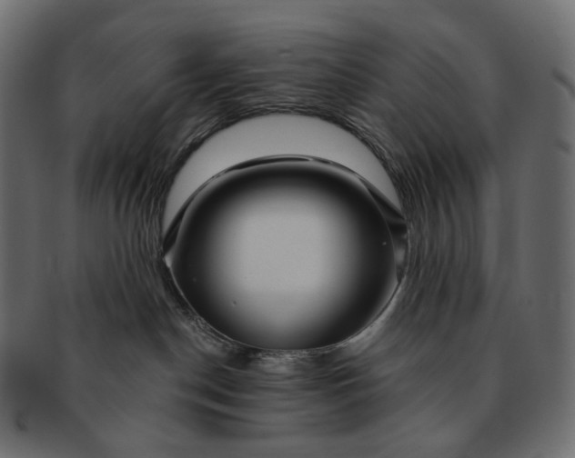 X0000091530190200709071049