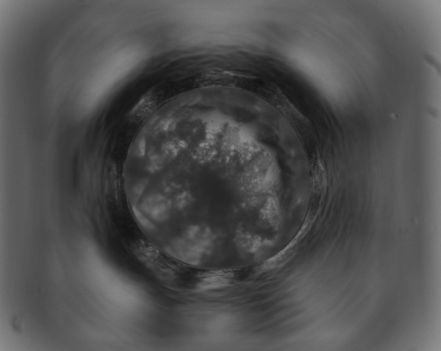 X0000091530191200709071049
