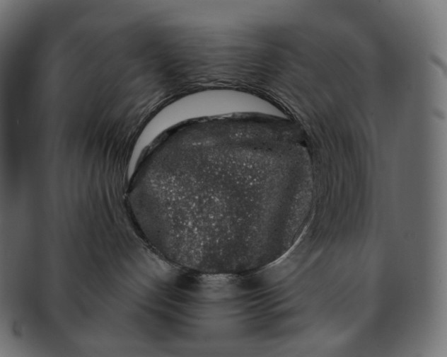 X0000091530192200709071049