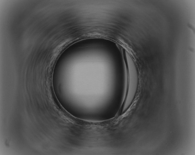 X0000091530193200709071049